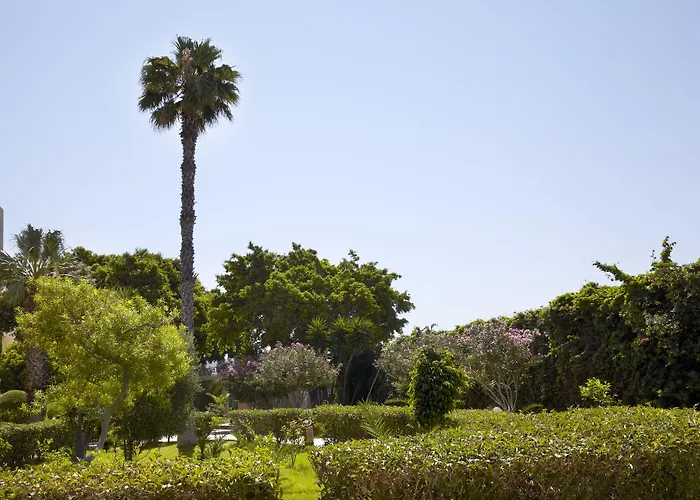 Hotel Sunshine Rhodes 4*