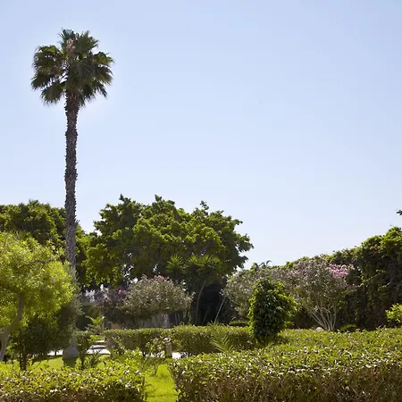 酒店 阳光罗德岛酒店 4*